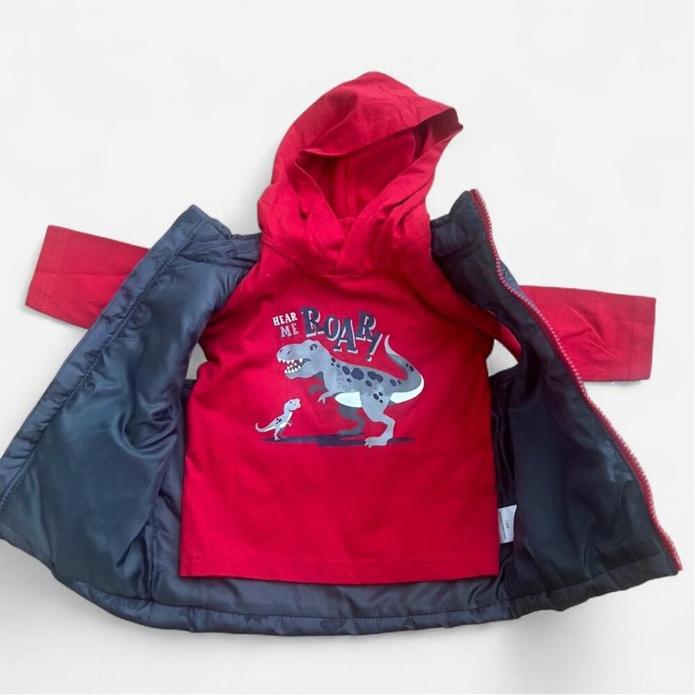 Dinosaur Puffy Vest and Shirt Set